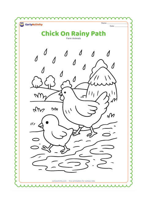 Colouring page: Draw a chick walking along a muddy farm path with a hen behind it. Add falling raindrops, puddle ripples, a covered haystack, and distant trees.