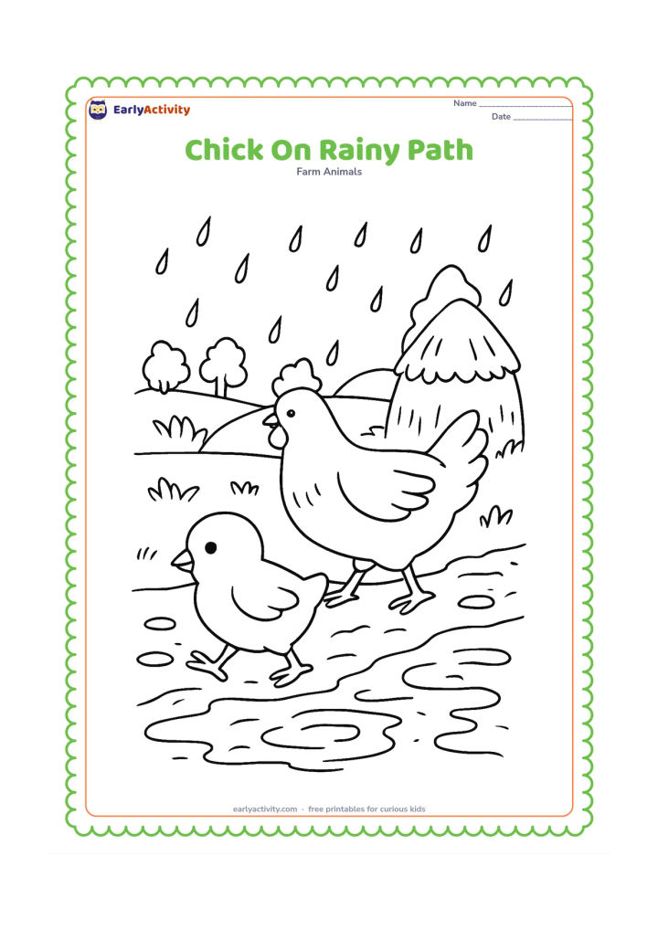 Colouring page: Draw a chick walking along a muddy farm path with a hen behind it. Add falling raindrops, puddle ripples, a covered haystack, and distant trees.