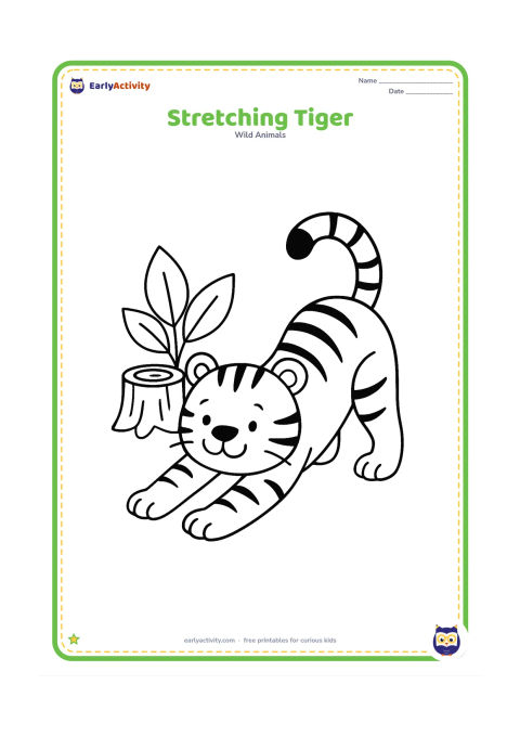 Colouring page: A tiger stretches with its front paws forward, back raised, and tail curved upward. Add a low tree stump and two large leaves behind it.
