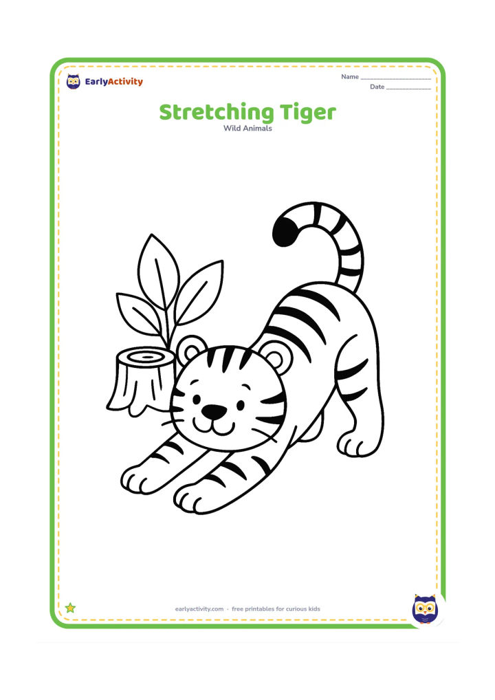 Colouring page: A tiger stretches with its front paws forward, back raised, and tail curved upward. Add a low tree stump and two large leaves behind it.