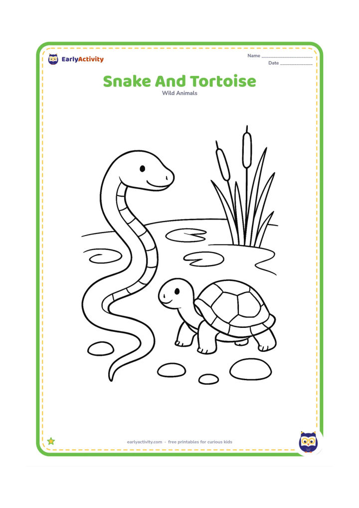 Colouring page: Draw a calm snake and a small tortoise near a pond edge, with reeds, lily pads, and a few smooth stones. Both animals should be fully visible and peacefully separated.