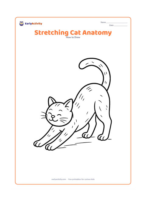 Worksheet: Draw a detailed cat stretching with its front legs extended, shoulders lowered, back arched, hind legs straight, paws spread, and tail lifted in a curve. Add subtle fur-direction marks…