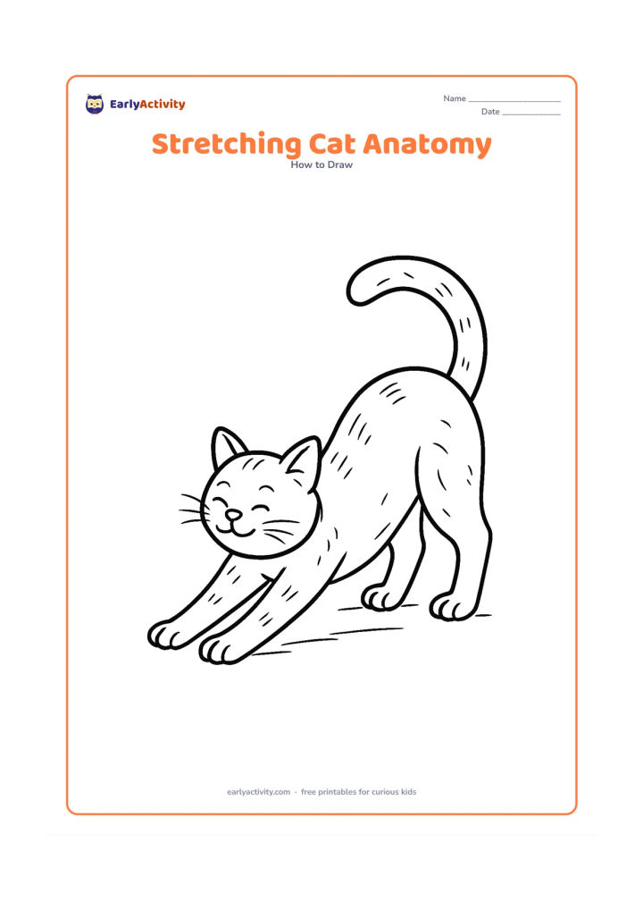 Worksheet: Draw a detailed cat stretching with its front legs extended, shoulders lowered, back arched, hind legs straight, paws spread, and tail lifted in a curve. Add subtle fur-direction marks…