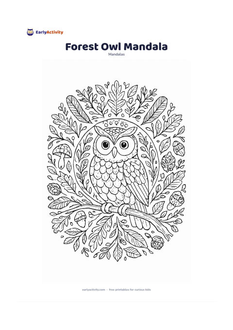 Colouring page: Show a friendly owl perched on a branch at the centre of a circular forest mandala, surrounded by feathers, acorns, mushrooms, leaves, pinecones, and curling branches. Use balanced…