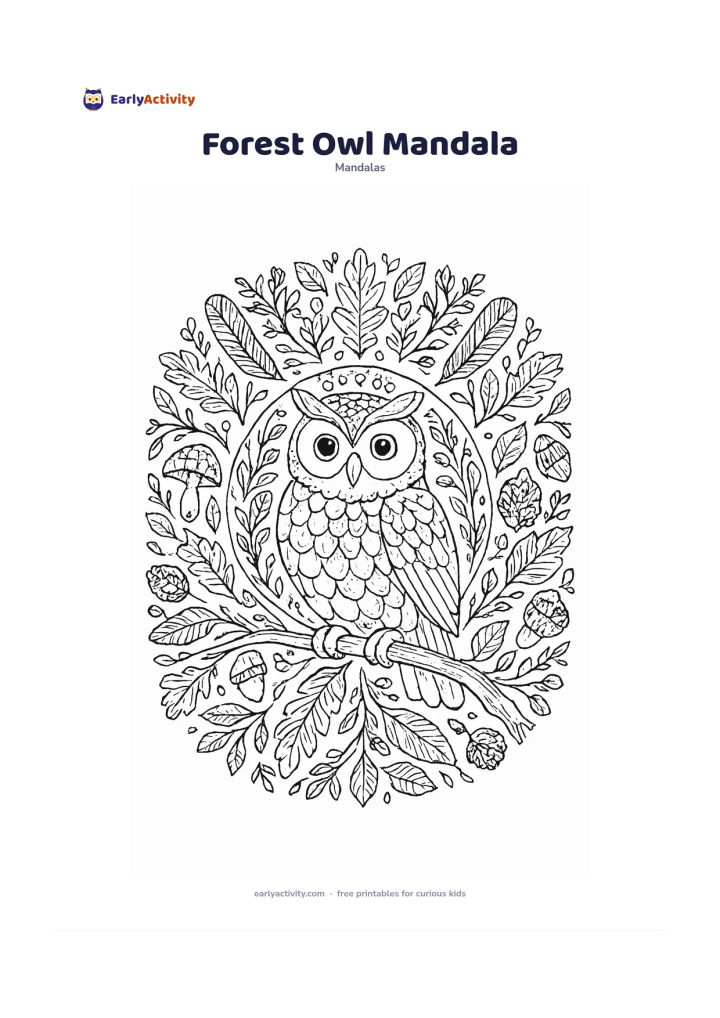 Colouring page: Show a friendly owl perched on a branch at the centre of a circular forest mandala, surrounded by feathers, acorns, mushrooms, leaves, pinecones, and curling branches. Use balanced…