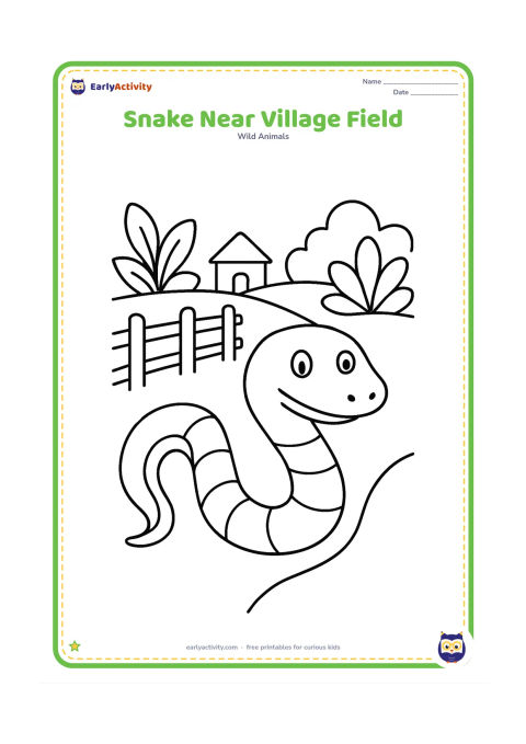 Colouring page: Draw a friendly snake moving along the edge of a field, with a simple fence, one distant hut shape, and a few large plants in the background. Keep the snake prominent in the foreground.