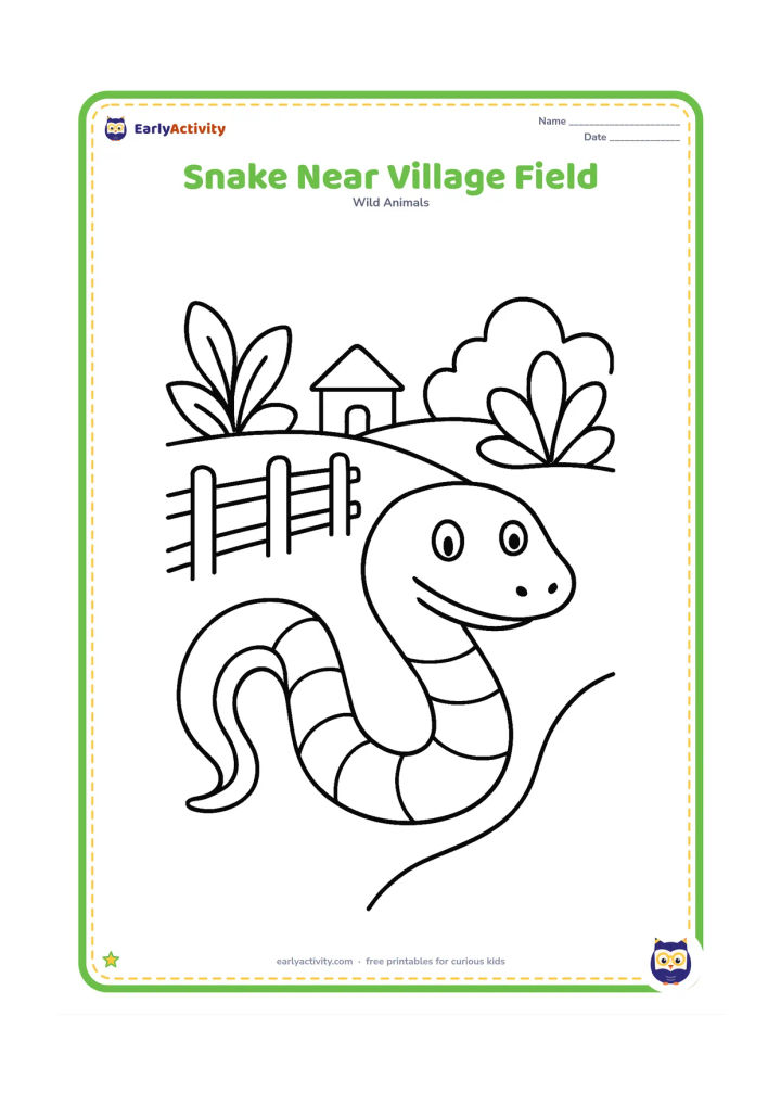 Colouring page: Draw a friendly snake moving along the edge of a field, with a simple fence, one distant hut shape, and a few large plants in the background. Keep the snake prominent in the foreground.