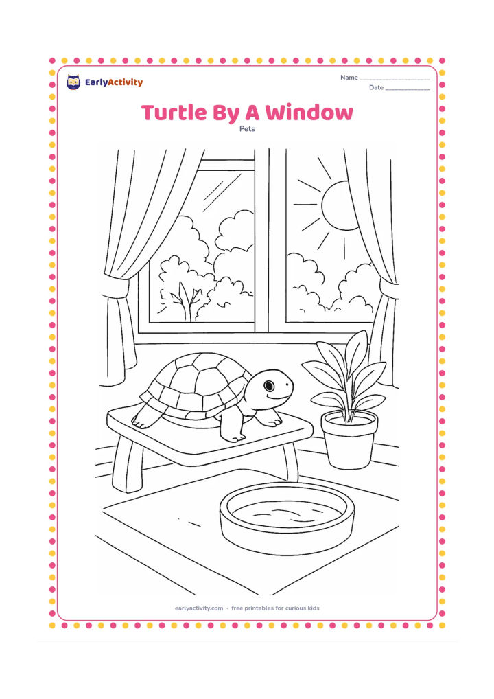 Colouring page: A pet turtle rests in a clean indoor habitat beside a sunny window. Include a basking platform, water dish, potted plant, curtain folds, window reflections and a view of leafy trees outside.