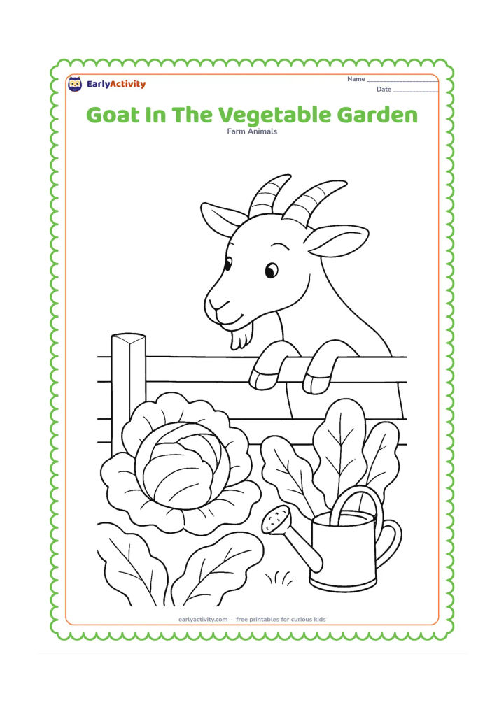 Colouring page: Draw a goat looking over a low garden fence toward broad leafy vegetable plants, with one cabbage and several large leaves in the foreground. Include a small watering can resting beside…