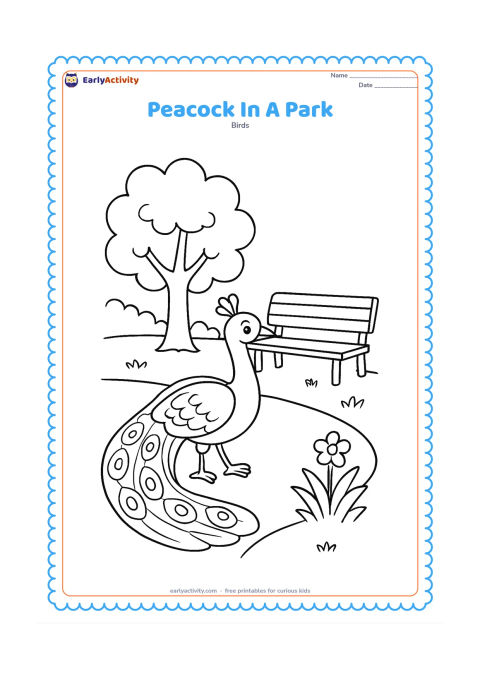 Colouring page: A peacock walks along a park path beside a bench, a leafy tree, and a small flower bed. His folded train curves behind him with several visible feather divisions.