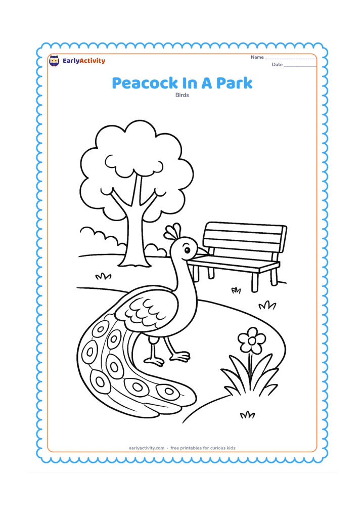 Colouring page: A peacock walks along a park path beside a bench, a leafy tree, and a small flower bed. His folded train curves behind him with several visible feather divisions.
