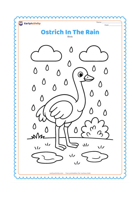 Colouring page: An ostrich stands in a grassy field during a gentle rain, with rounded clouds, falling raindrops, puddles and a small leafy bush. The bird keeps its wings folded.