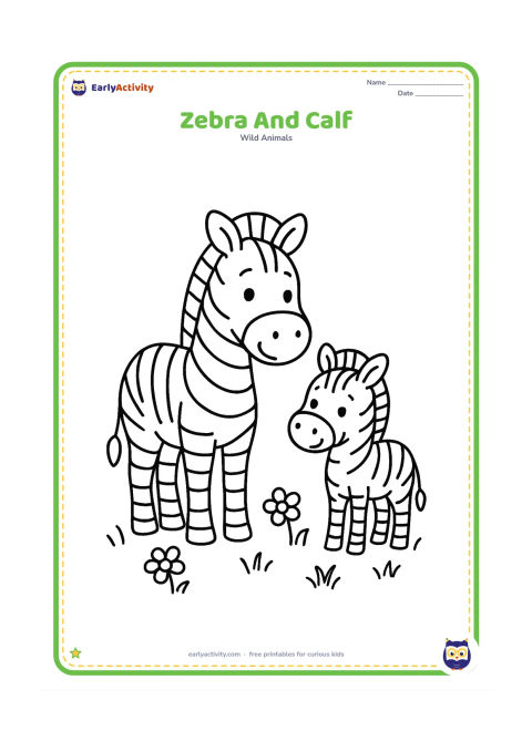 Colouring page: Draw an adult zebra standing beside a small zebra foal, both facing forward with friendly expressions. Add a few flowers and short grass around their feet.