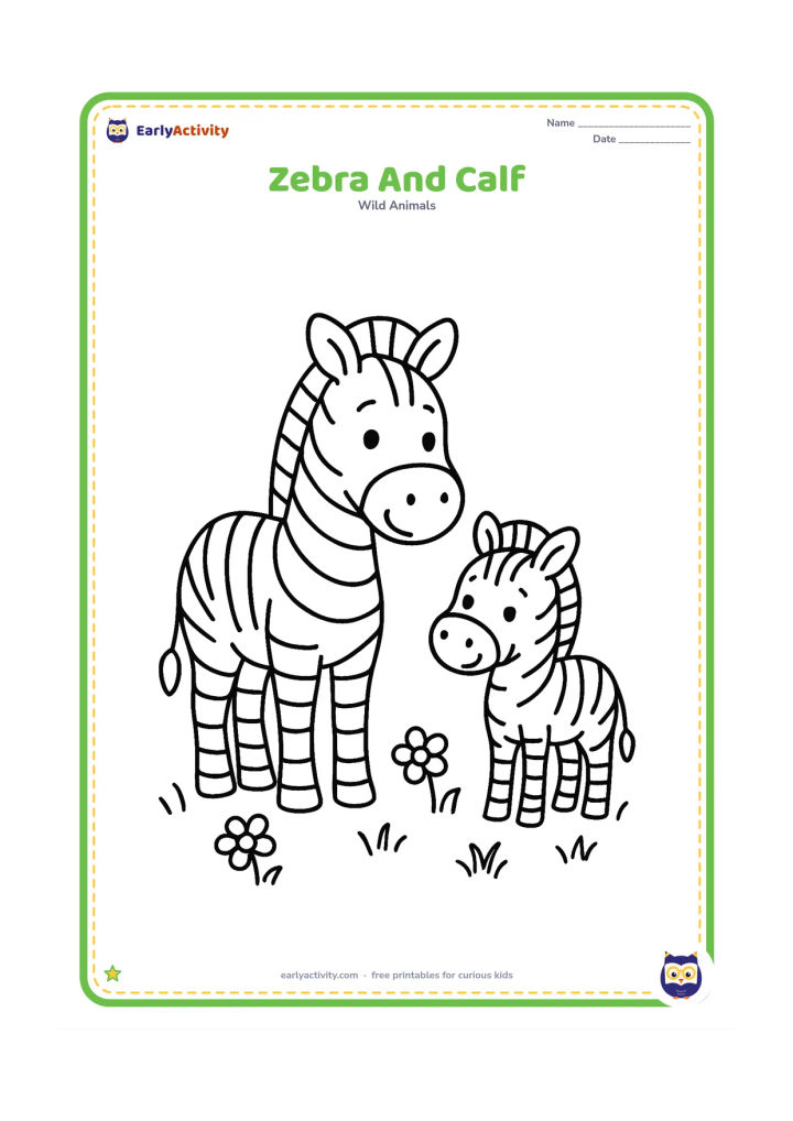 Colouring page: Draw an adult zebra standing beside a small zebra foal, both facing forward with friendly expressions. Add a few flowers and short grass around their feet.