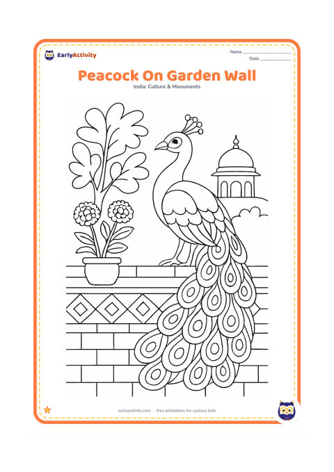 Colouring page: Draw a peacock perched on a decorated garden wall with its tail hanging down in overlapping feathers. Add potted marigolds, a leafy tree and a distant domed Indian-style rooftop.