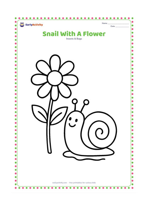 Colouring page: Draw a snail beside one large daisy-like flower, looking up toward its petals. Give the snail a large spiral shell and a short trail on the ground.