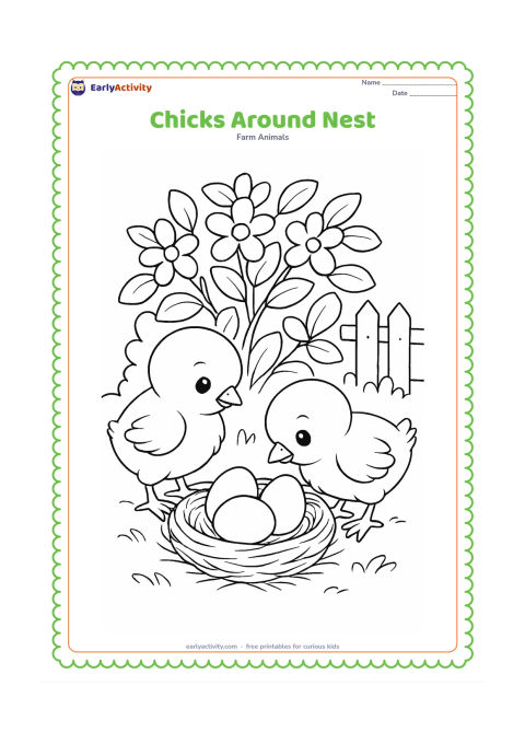 Colouring page: Draw two chicks looking into a low nest containing three eggs. Place the nest beneath a leafy bush with flowers and a small wooden fence behind it.