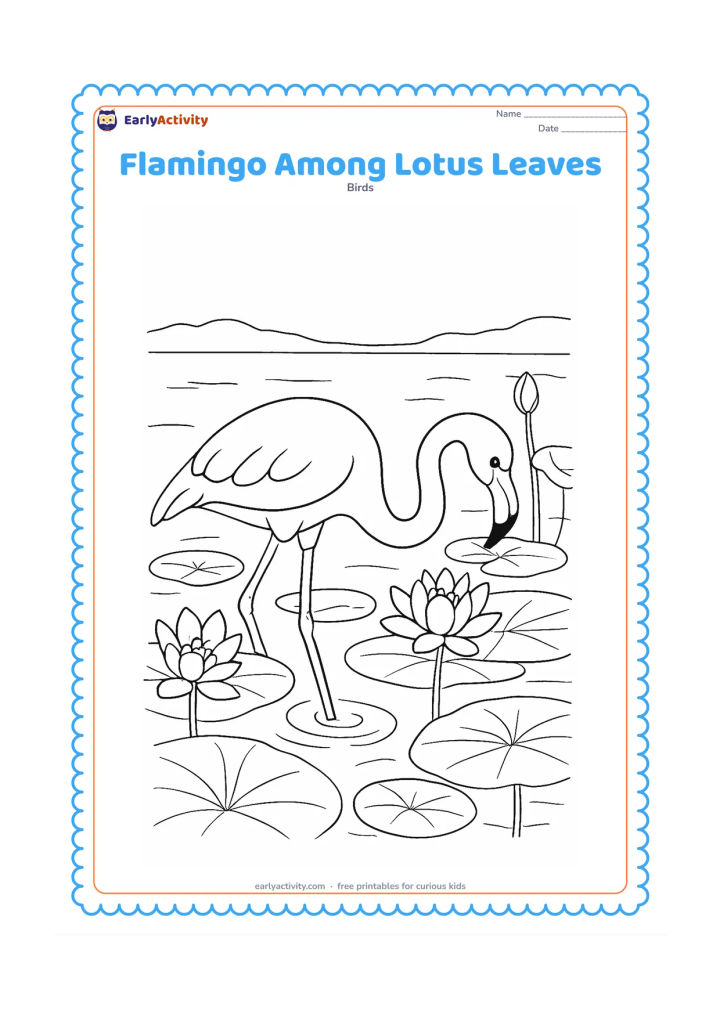 Colouring page: Draw a flamingo wading through a lotus pond, with its bill lowered toward the water and large lotus leaves surrounding its legs. Include open flowers, stems, gentle ripples and a far…