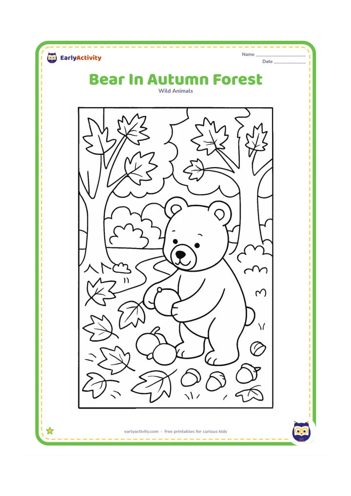 Colouring page: A brown bear gathers fallen fruit in an autumn forest, with maple-shaped leaves, tree trunks, shrubs, acorns, and a winding path.