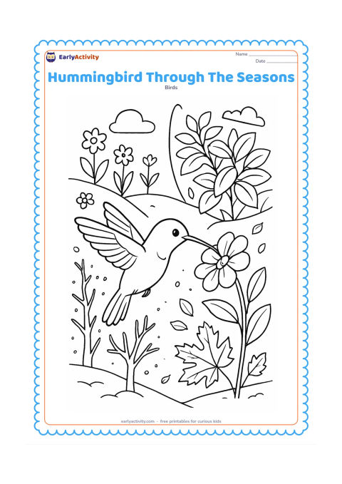 Colouring page: A central hummingbird hovers beside a flower while the surrounding garden is divided naturally into spring blossoms, summer leaves, autumn foliage and winter bare branches. Use curved…