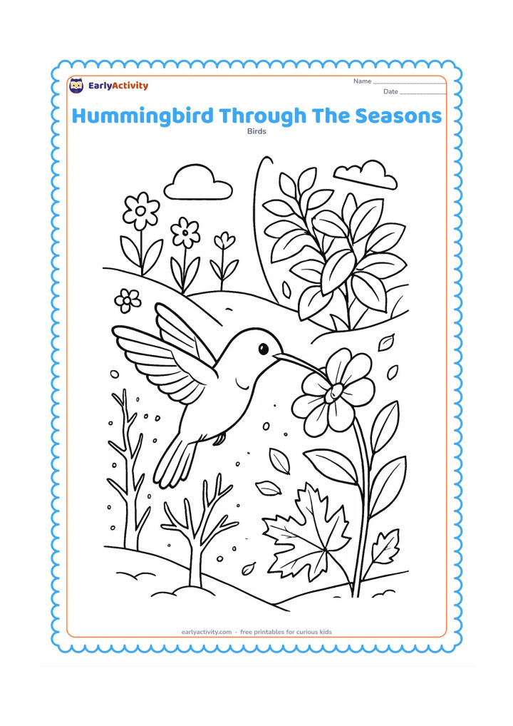 Colouring page: A central hummingbird hovers beside a flower while the surrounding garden is divided naturally into spring blossoms, summer leaves, autumn foliage and winter bare branches. Use curved…
