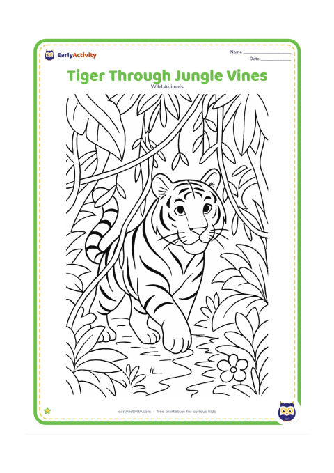 Colouring page: A tiger pushes gently through hanging vines and large tropical leaves, with its head, shoulders, paws, and curling tail visible. Add layered foliage, tree roots, flowers, and a narrow…