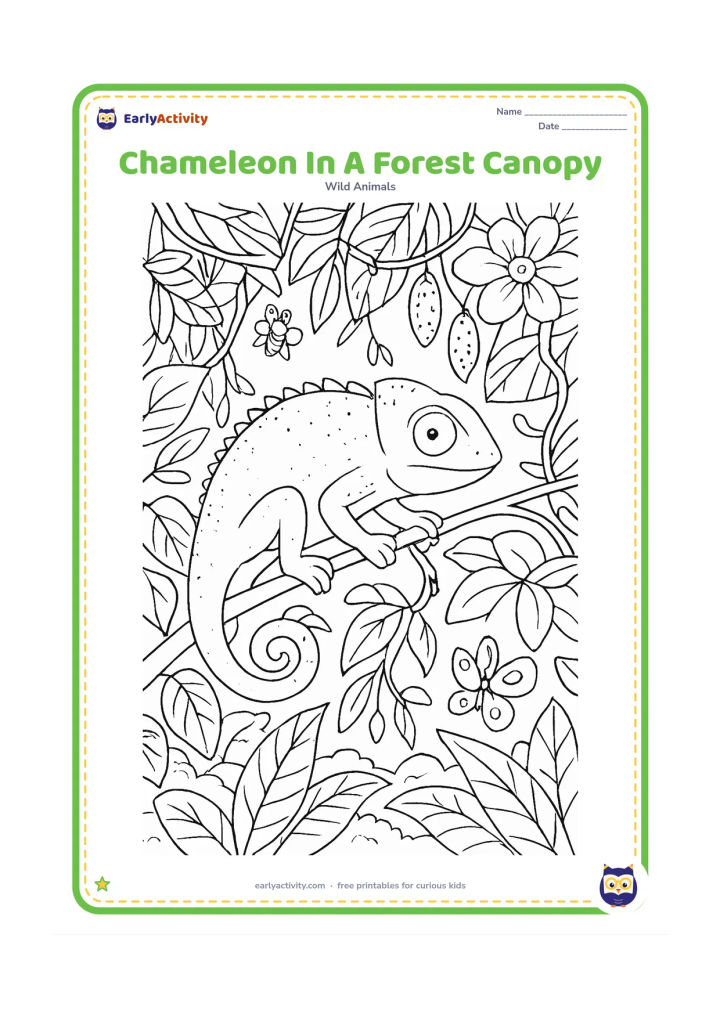 Colouring page: A chameleon climbs through a dense canopy of overlapping leaves, hanging vines, flowers, seed pods and small insects, with a glimpse of distant treetops below. Show all four gripping feet.
