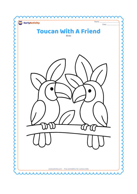 Colouring page: Two friendly toucans sit side by side on one thick branch, one facing left and one facing right. Add a few large leaves behind them while keeping both bills, bodies, wings, and feet…