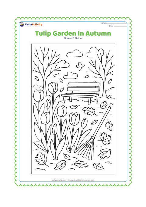 Colouring page: Draw a tulip garden in autumn with tall tulips, fallen leaves, a wooden bench, a garden rake and trees with some sparse branches. Show a mix of open blossoms and buds.