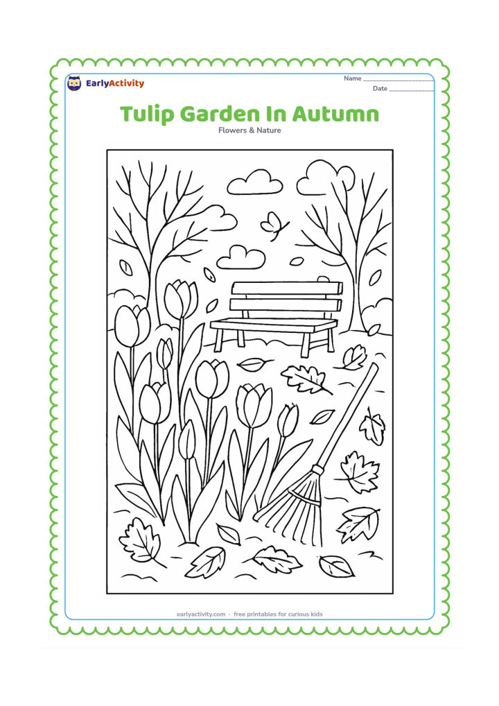 Colouring page: Draw a tulip garden in autumn with tall tulips, fallen leaves, a wooden bench, a garden rake and trees with some sparse branches. Show a mix of open blossoms and buds.