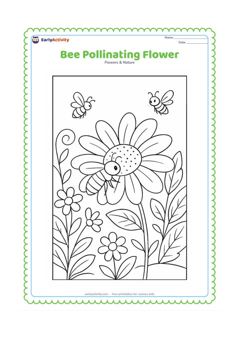 Colouring page: Draw a close garden scene with a bee collecting pollen from a large daisy, surrounded by smaller flowers, textured leaves and a curling stem. Add a second bee in the background and a few…