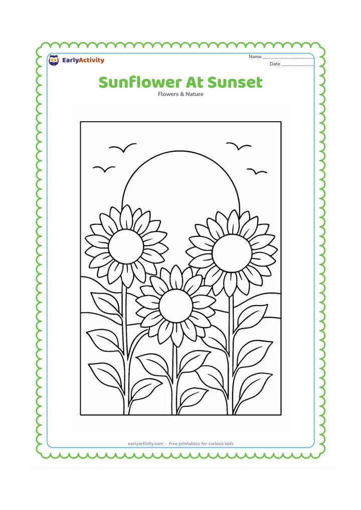 Colouring page: A row of sunflowers appears in the foreground against a large setting sun, with varied petal layers, curved stems, leaves, distant hills, and a few flying birds.
