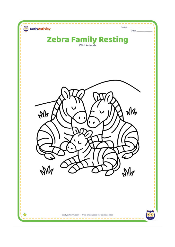 Colouring page: Draw three zebras lying down together in a small group, with two adults and one foal. Add a few grass clumps and a simple low hill behind them.