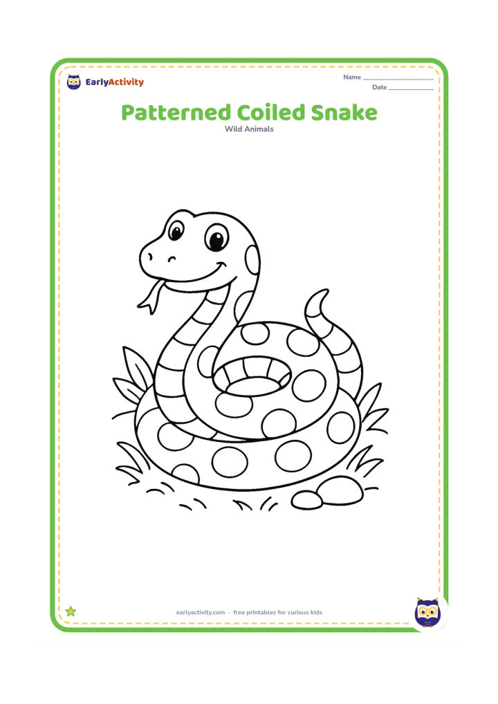 Colouring page: Draw a snake in a neat coil on a patch of grass, with alternating large bands and spots along its body. Add a few leaves and small stones around the coil.