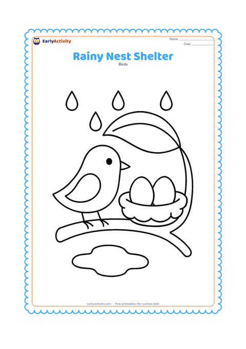 Colouring page: A parent bird stands beside a nest protected under a large leaf, with two eggs inside. Add a few rounded raindrops and a small puddle beneath the branch.