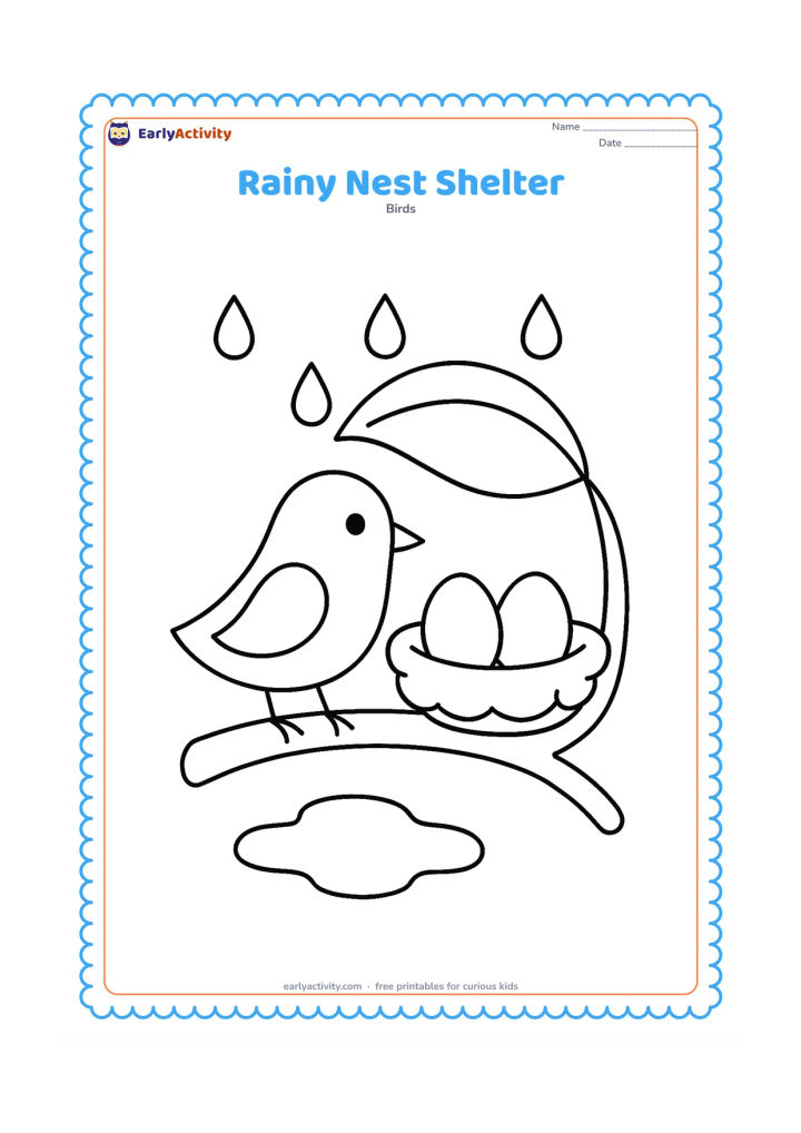 Colouring page: A parent bird stands beside a nest protected under a large leaf, with two eggs inside. Add a few rounded raindrops and a small puddle beneath the branch.