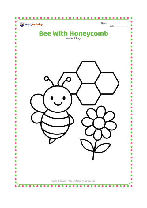 Colouring page: A cheerful bee sits beside a small honeycomb made from several large hexagons, with one large flower nearby. Arrange the bee and honeycomb clearly in the centre.