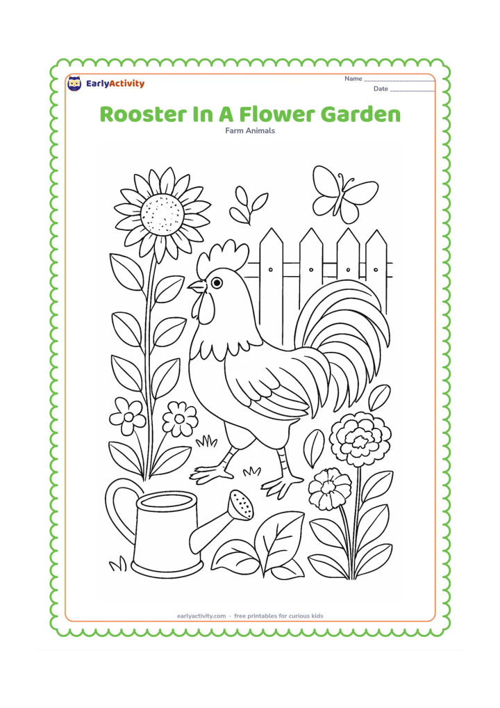 Colouring page: Draw a rooster walking through a farm flower garden with sunflowers, marigolds and broad leaves. Add a picket fence, a watering can and a butterfly nearby.
