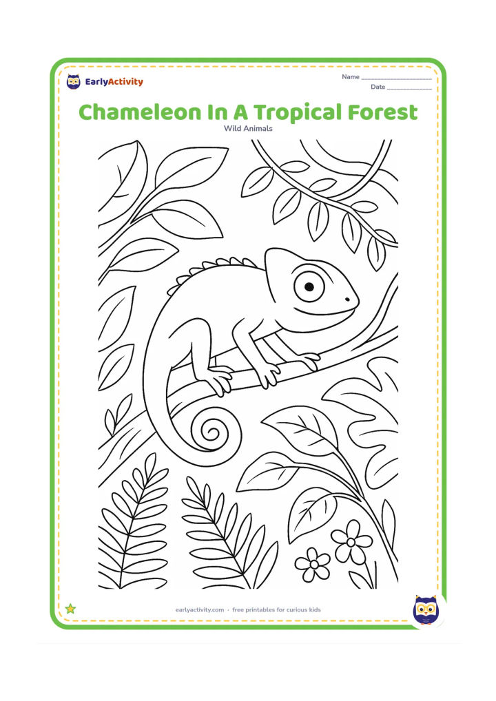 Colouring page: A chameleon climbs a twisting branch in a leafy tropical forest, surrounded by ferns, vines, broad leaves and two small flowers. Show its textured feet and curled tail.