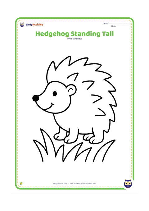 Colouring page: Draw one friendly hedgehog standing in side view with a large round body, clear face, four simple paws and a few oversized grass blades beneath it. Keep the composition open with no…