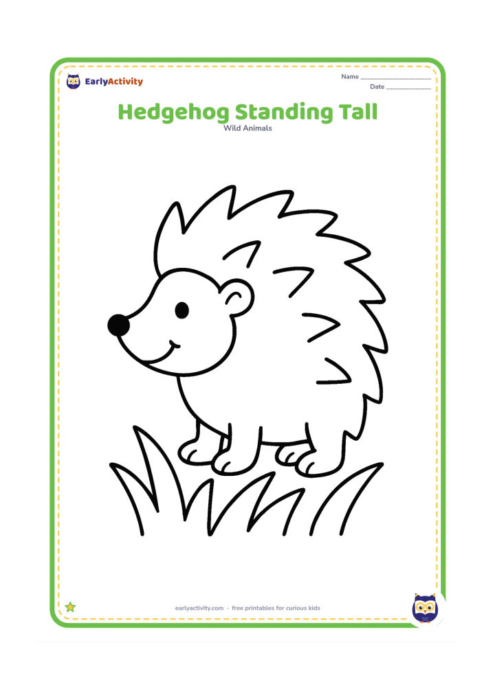 Colouring page: Draw one friendly hedgehog standing in side view with a large round body, clear face, four simple paws and a few oversized grass blades beneath it. Keep the composition open with no…