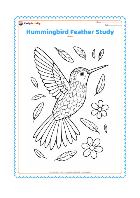 Colouring page: A large side-view hummingbird fills most of the page with its wings spread, fanned tail and long bill clearly visible. Surround it with small feather guides, loose feathers and two…