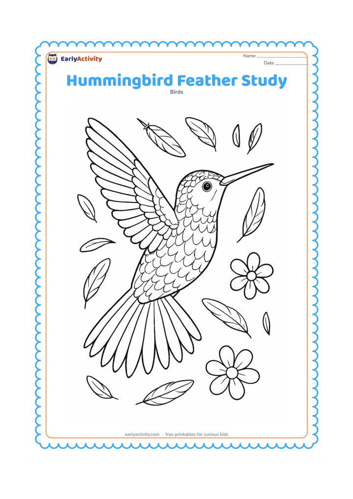 Colouring page: A large side-view hummingbird fills most of the page with its wings spread, fanned tail and long bill clearly visible. Surround it with small feather guides, loose feathers and two…