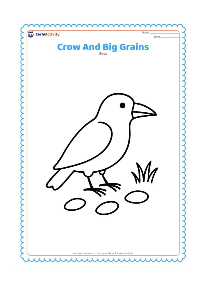 Colouring page: A crow stands beside three large grain shapes scattered on the ground, with a few simple grass blades nearby.