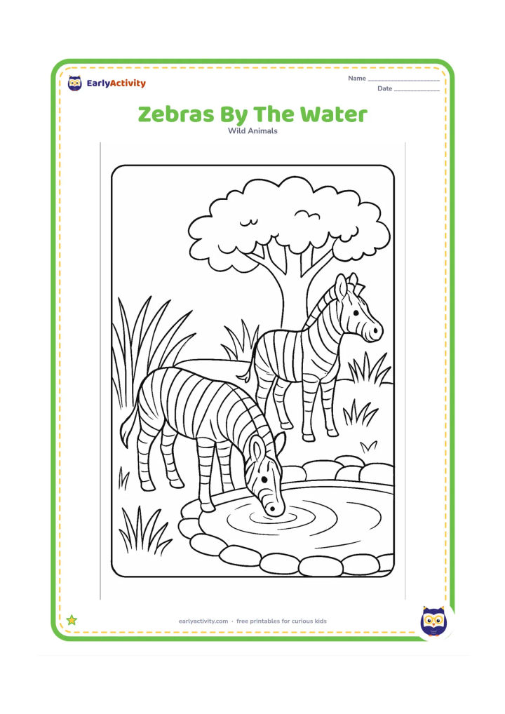 Colouring page: Two zebras stand beside a watering pool, one drinking and one looking across the enclosure. Add tall grass, a shade tree and a low stone border.