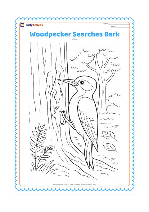 Colouring page: A woodpecker leans into a peeled section of bark while searching for insects, with a tiny insect tunnel visible beneath the bark. Add roots, ferns, fallen leaves and a second tree in the…