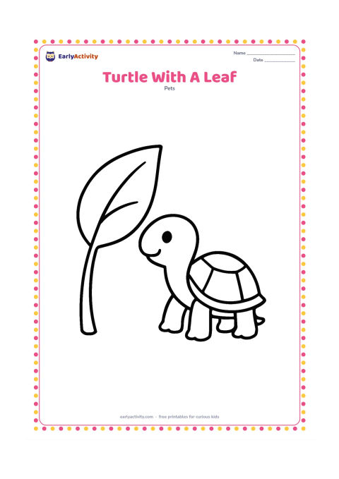 Colouring page: A pet turtle stands beside one oversized leaf, reaching toward it with its head. Show a clear shell outline, four sturdy legs and a short tail.