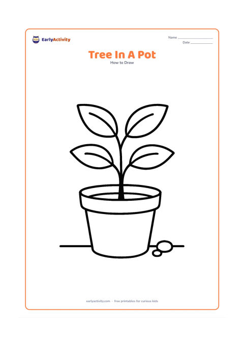 Worksheet: Show a young tree with a thick trunk and a few large leaves growing from a wide flowerpot. Place the pot on a simple floor line with two small pebbles beside it.