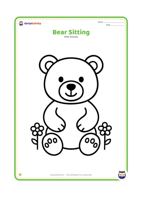 Colouring page: A bear sitting with its front paws resting on its round belly, shown in a simple open space. Add two small flowers beside it.