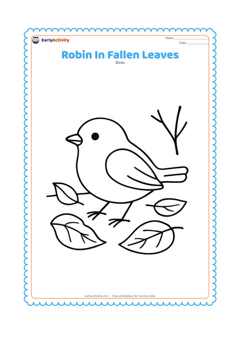 Colouring page: Draw a robin standing on the ground among several large fallen leaves, facing left with one foot slightly raised. Include a simple curved ground line and one bare twig.
